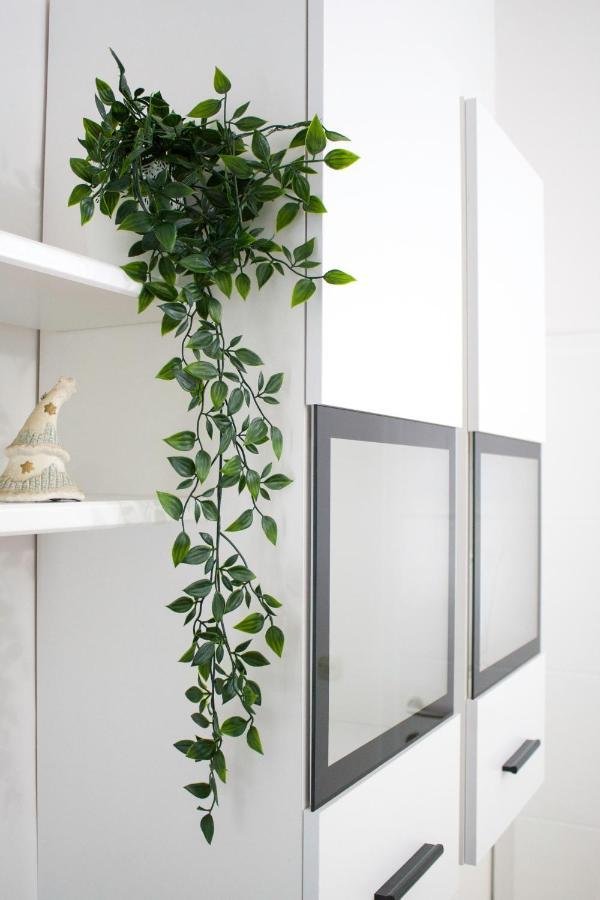 Appartement White Orchid Pula Extérieur photo